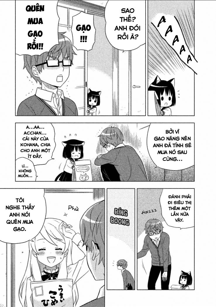 Tớ Là Mèo Kohana Chapter 1 - 20