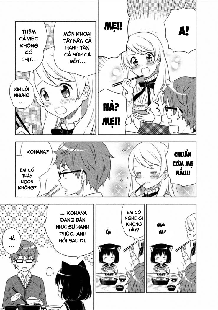 Tớ Là Mèo Kohana Chapter 1 - 22