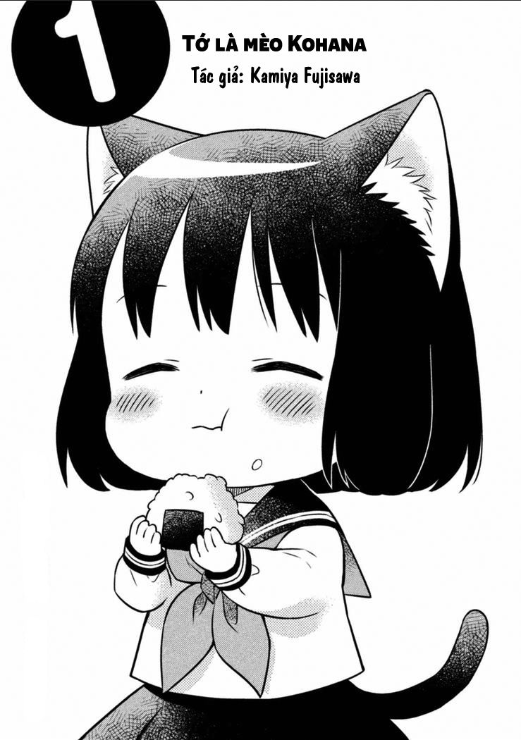 Tớ Là Mèo Kohana Chapter 1 - 4
