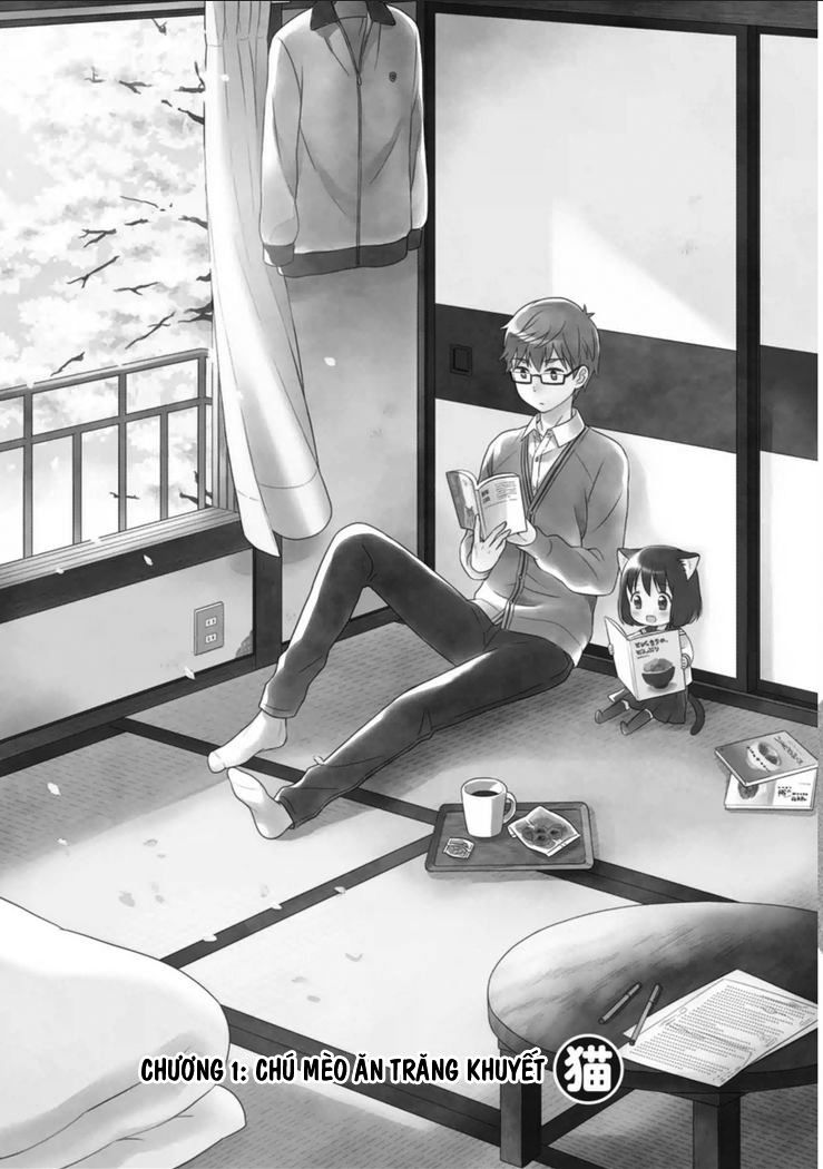Tớ Là Mèo Kohana Chapter 1 - 6