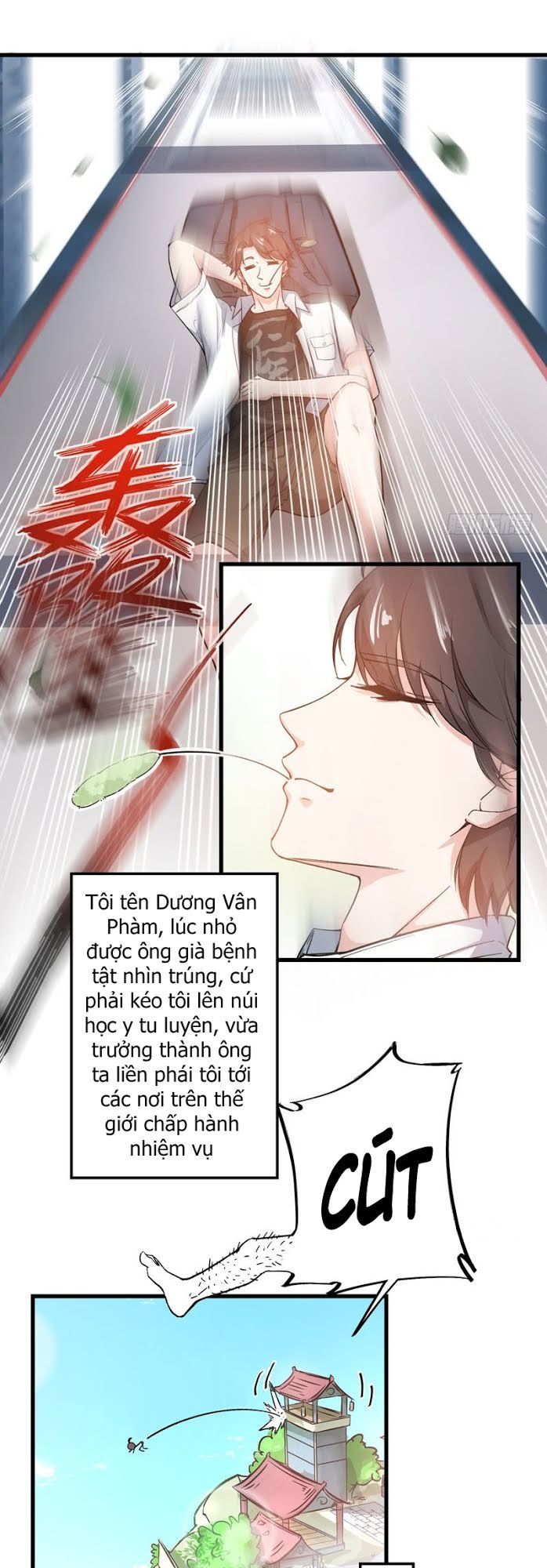 Siêu Cấp Thần Y Tại Đô Thị Chapter 1 - 9