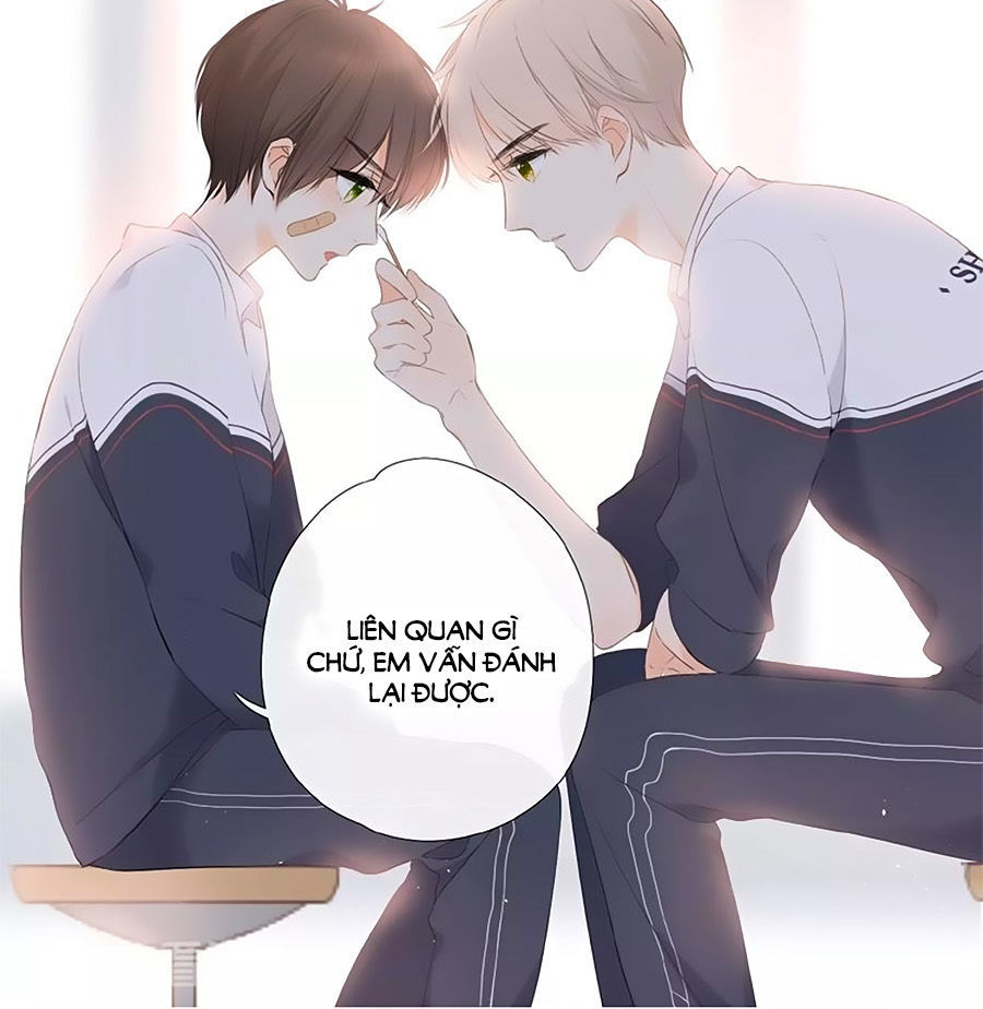 Lại Gặp Được Em Chapter 3 - 17