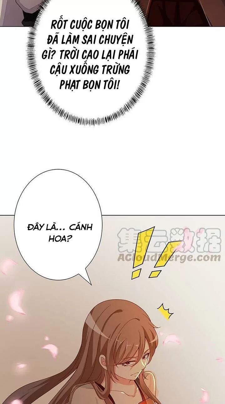 Quy Luật Tình Yêu Ở Mạt Thế Chapter 265 - 12