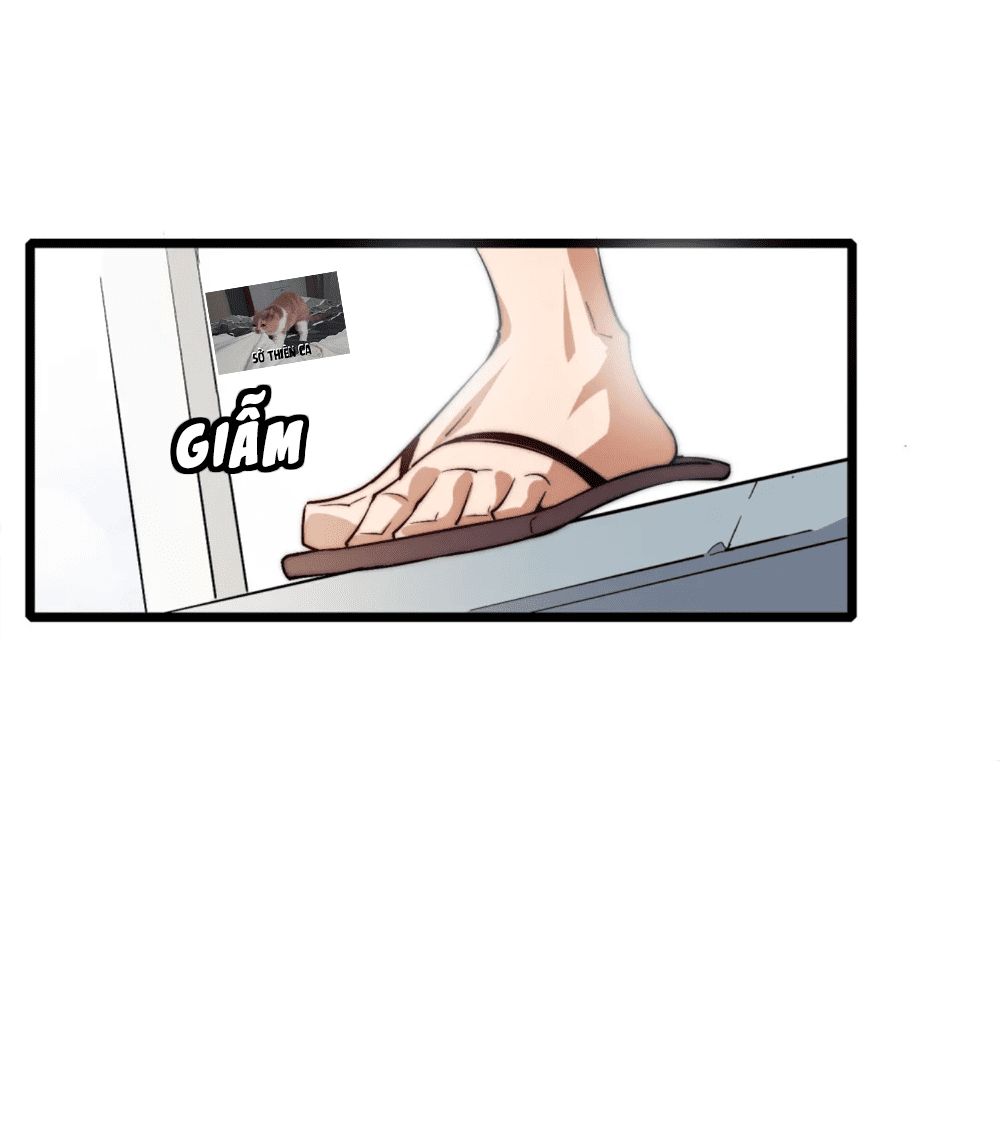 Từ Hôm Nay Bắt Đầu Làm Người Giàu Nhất Chapter 1 - 54