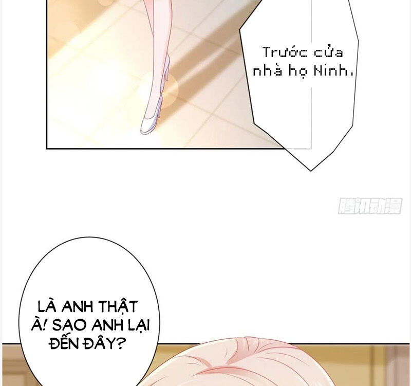Ẩn Hôn 100%: Chọc Tức Vợ Yêu Mua Một Tặng Một Chapter 173 - 25