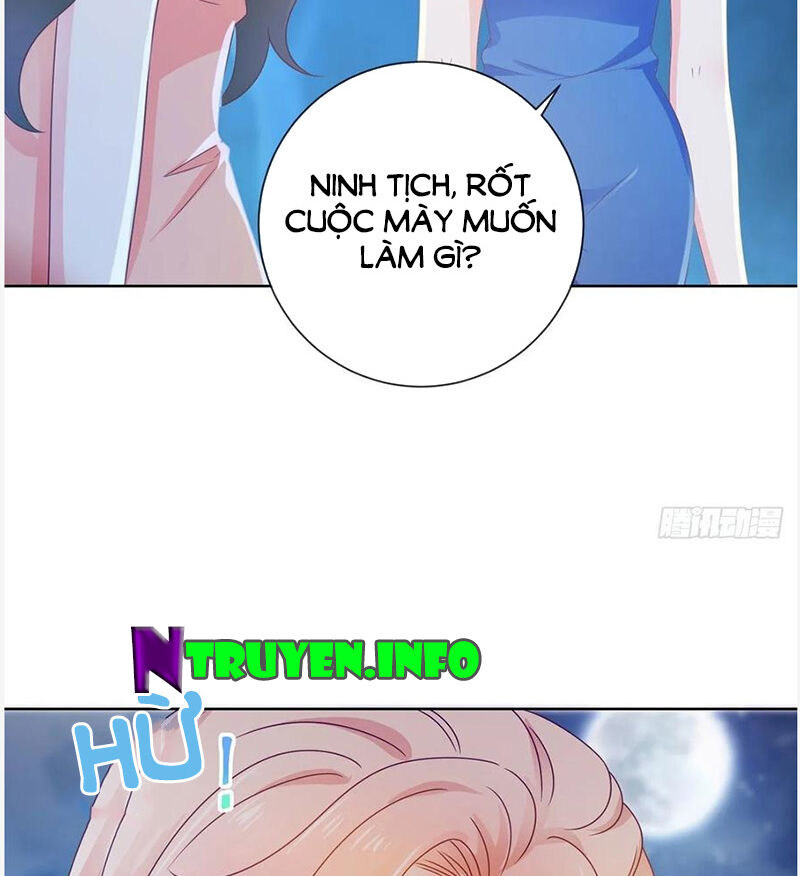 Ẩn Hôn 100%: Chọc Tức Vợ Yêu Mua Một Tặng Một Chapter 173 - 35