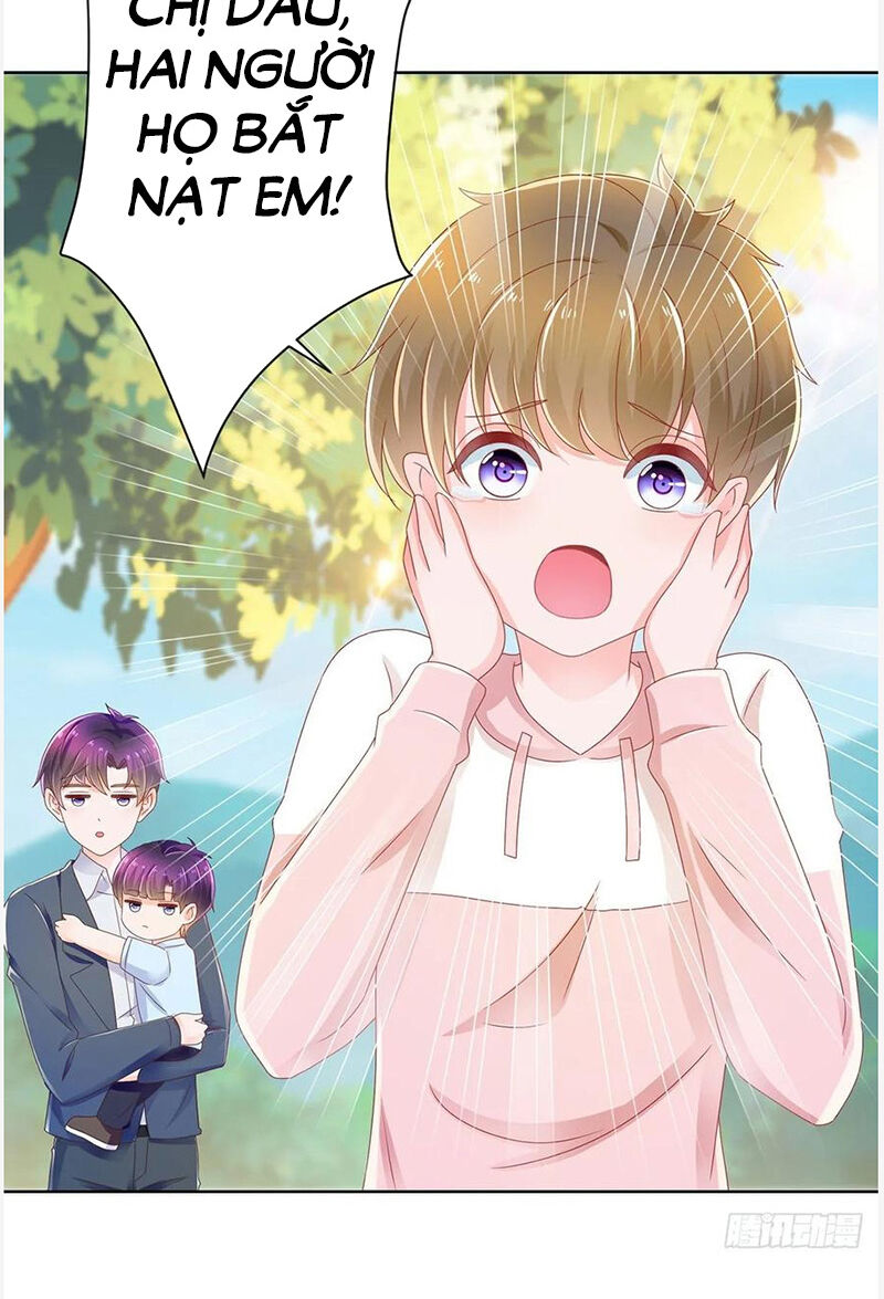 Ẩn Hôn 100%: Chọc Tức Vợ Yêu Mua Một Tặng Một Chapter 178 - 15