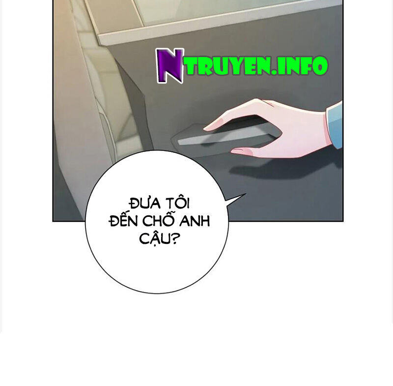 Ẩn Hôn 100%: Chọc Tức Vợ Yêu Mua Một Tặng Một Chapter 180 - 14