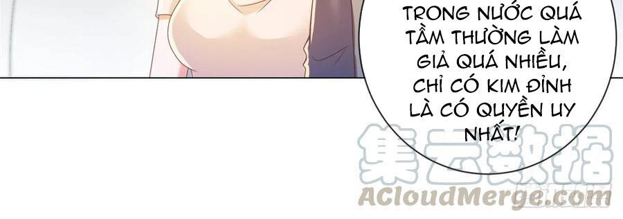 Ẩn Hôn 100%: Chọc Tức Vợ Yêu Mua Một Tặng Một Chapter 183 - 10