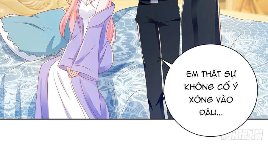 Ẩn Hôn 100%: Chọc Tức Vợ Yêu Mua Một Tặng Một Chapter 192 - 23