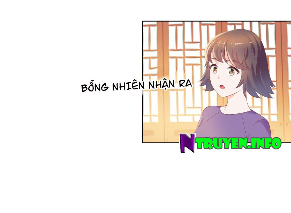 Ẩn Hôn 100%: Chọc Tức Vợ Yêu Mua Một Tặng Một Chapter 41 - 10