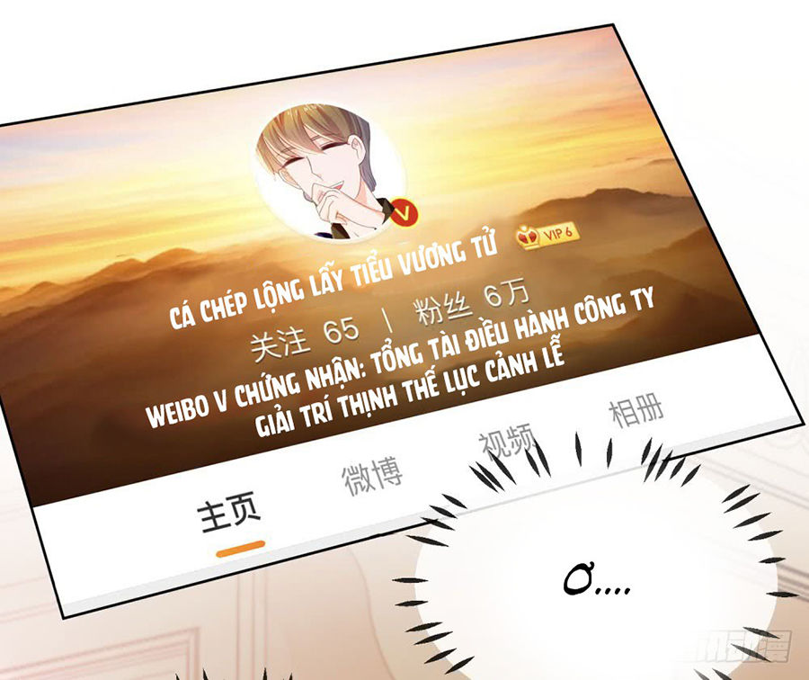 Ẩn Hôn 100%: Chọc Tức Vợ Yêu Mua Một Tặng Một Chapter 47 - 17