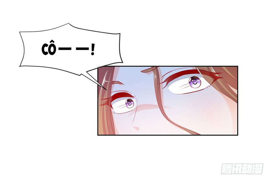 Ẩn Hôn 100%: Chọc Tức Vợ Yêu Mua Một Tặng Một Chapter 49 - 7