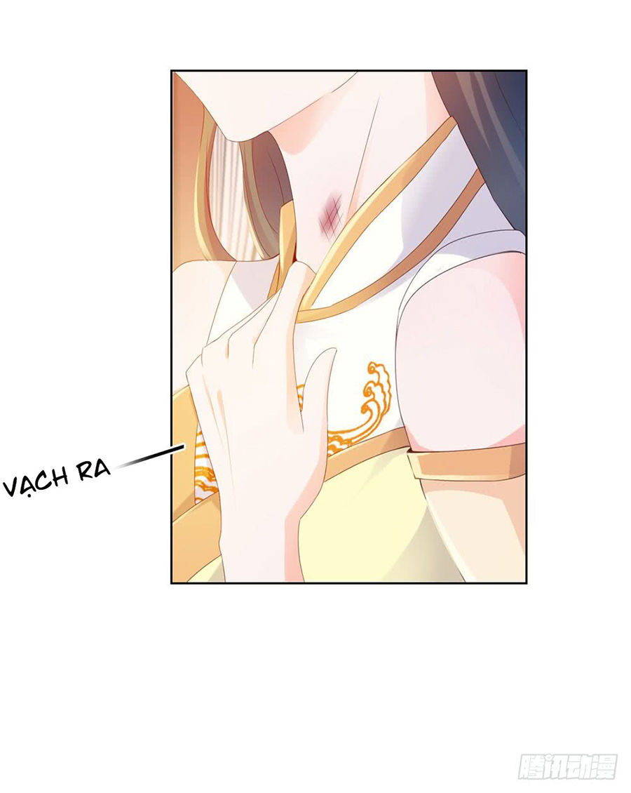 Ẩn Hôn 100%: Chọc Tức Vợ Yêu Mua Một Tặng Một Chapter 62 - 13