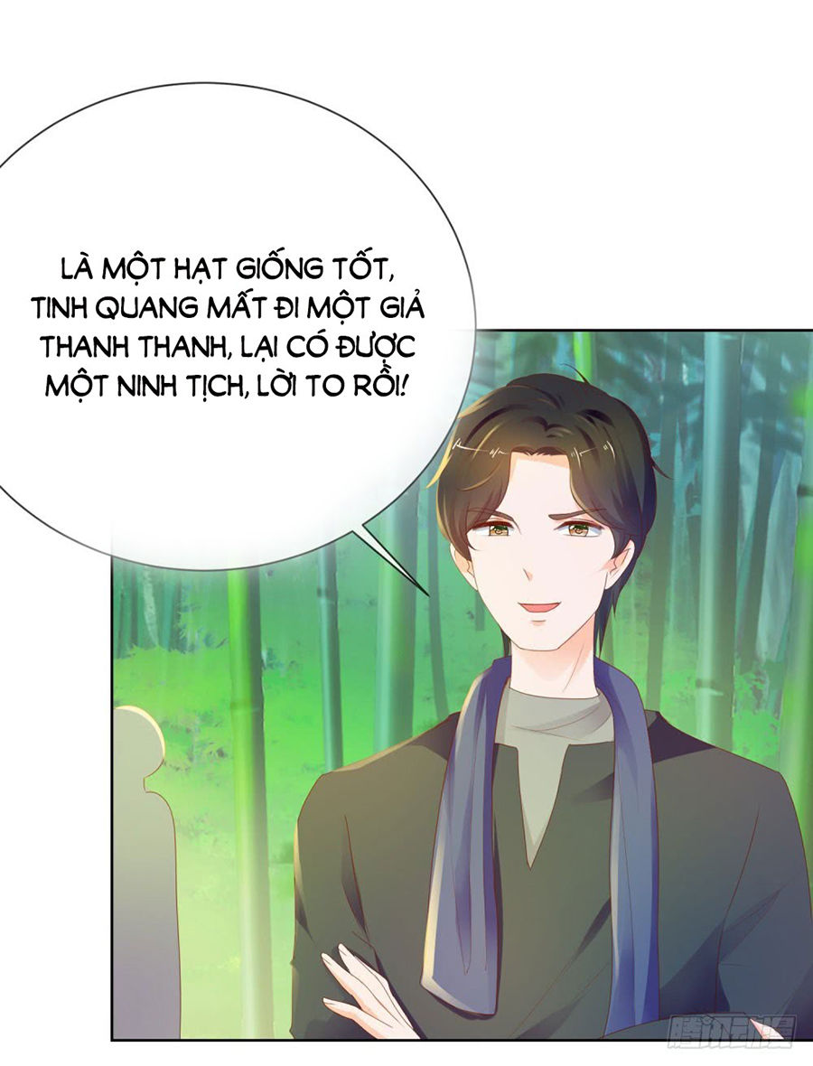 Ẩn Hôn 100%: Chọc Tức Vợ Yêu Mua Một Tặng Một Chapter 62 - 26