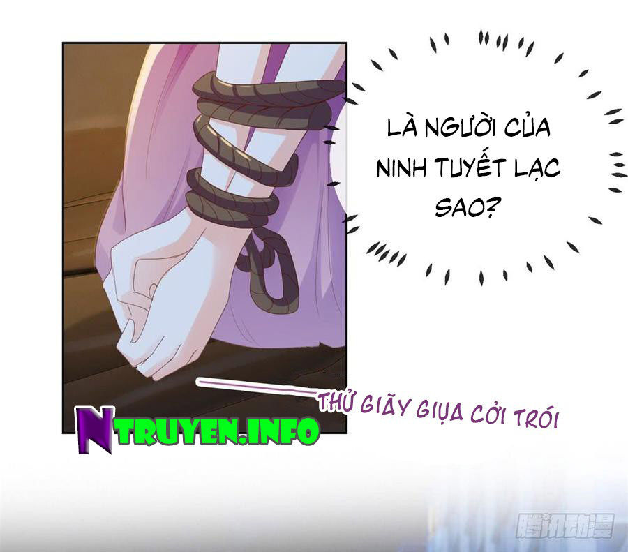 Ẩn Hôn 100%: Chọc Tức Vợ Yêu Mua Một Tặng Một Chapter 65 - 3