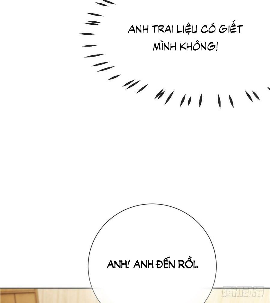 Ẩn Hôn 100%: Chọc Tức Vợ Yêu Mua Một Tặng Một Chapter 65 - 34