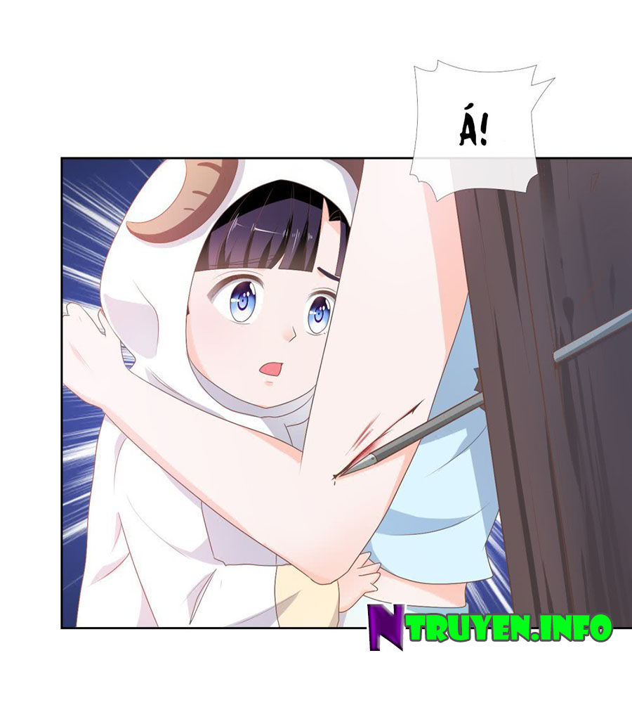 Ẩn Hôn 100%: Chọc Tức Vợ Yêu Mua Một Tặng Một Chapter 9 - 5