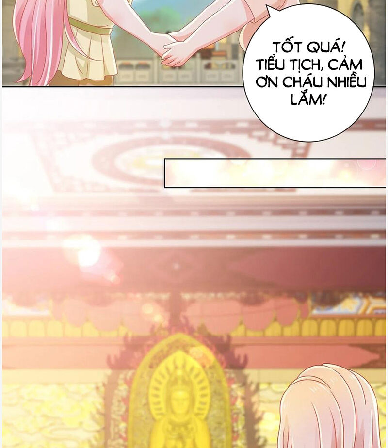 Ẩn Hôn 100%: Chọc Tức Vợ Yêu Mua Một Tặng Một Chapter 177 - 17