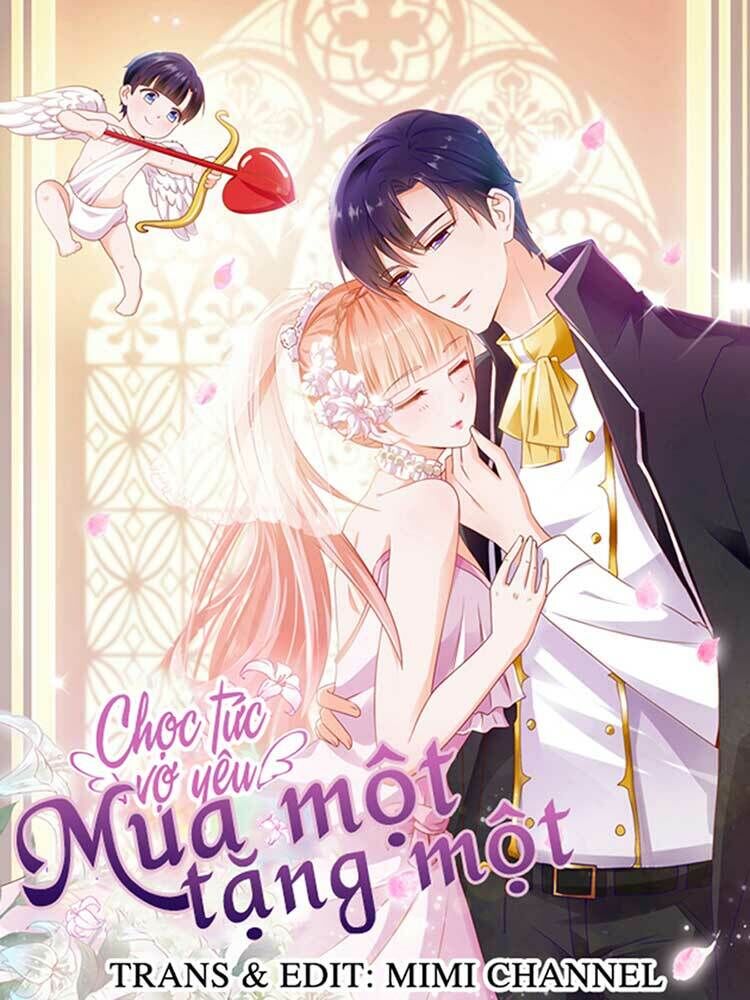 Ẩn Hôn 100%: Chọc Tức Vợ Yêu Mua Một Tặng Một Chapter 221 - 1