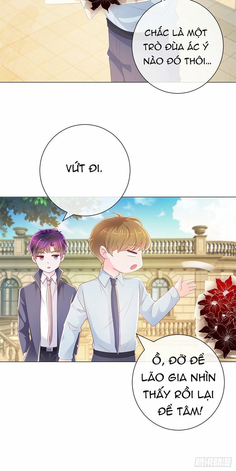 Ẩn Hôn 100%: Chọc Tức Vợ Yêu Mua Một Tặng Một Chapter 231 - 5