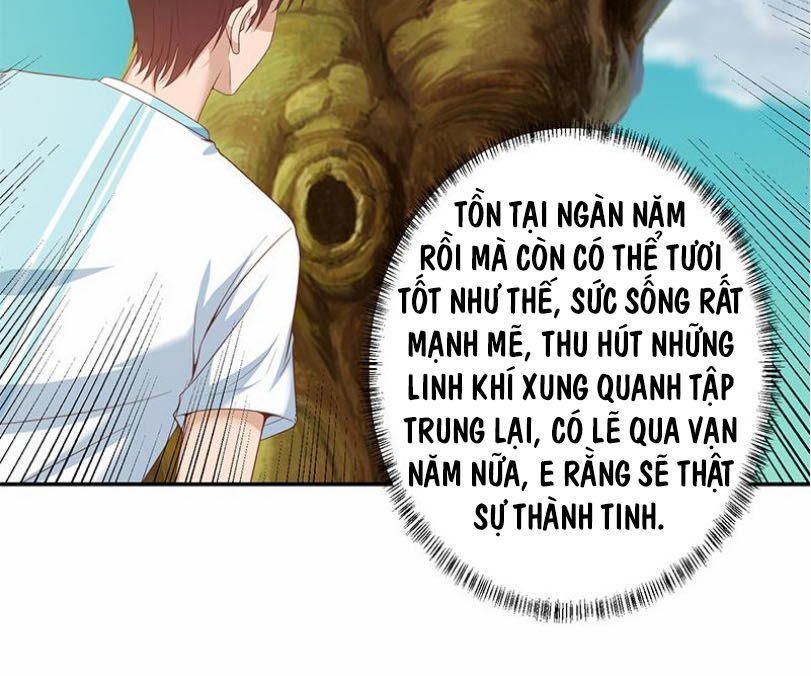 Tu Tiên Trở Về Tại Vườn Trường Chapter 11 - 5