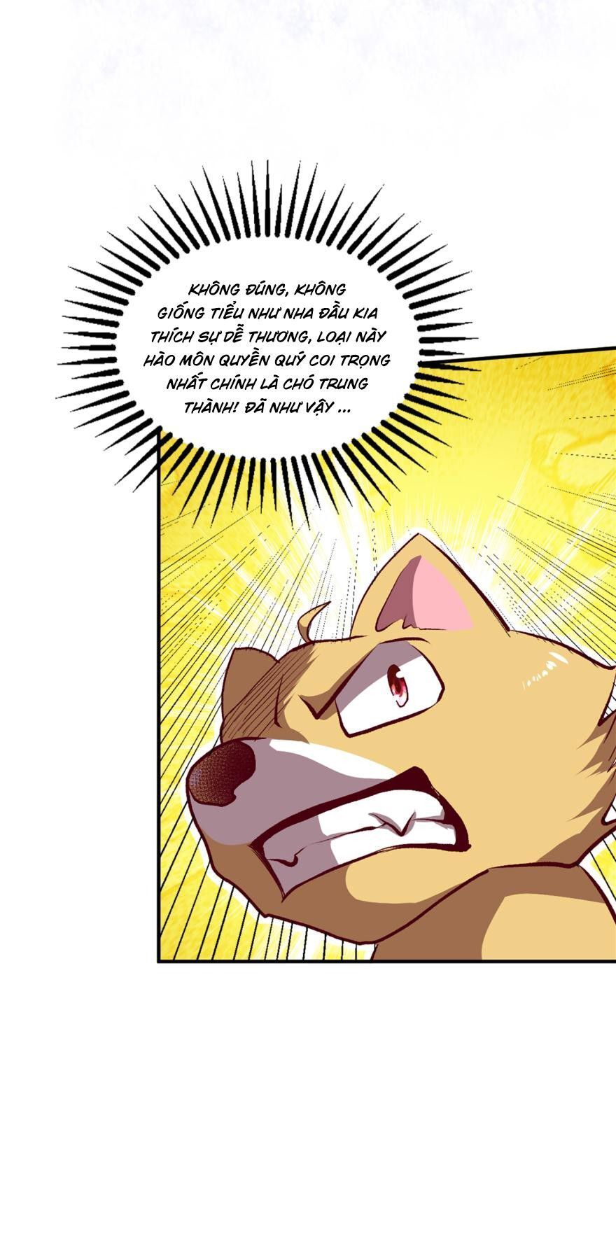 Trọng Sinh Thành Cậu Vàng Tại Dị Thế Chapter 3 - 20