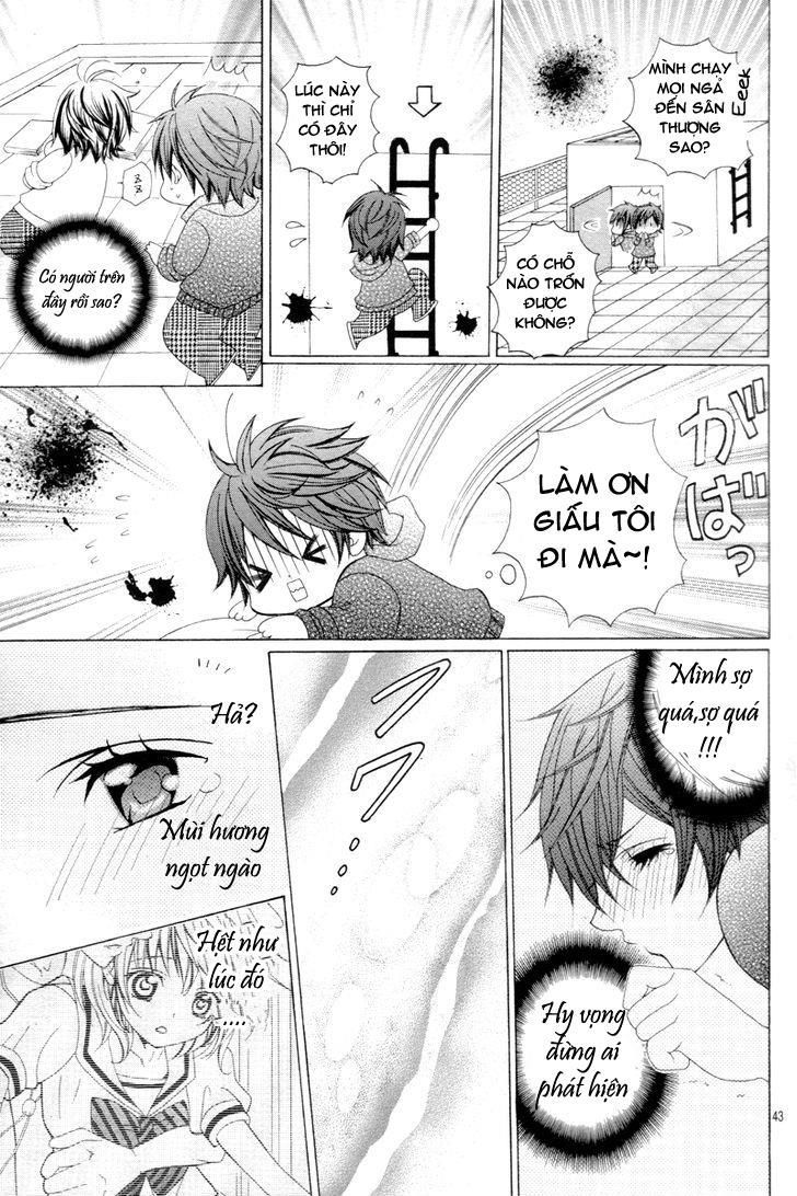 Cuộc Gặp Gỡ Diệu Kỳ Chapter 1 - 38