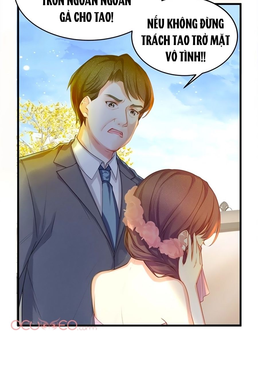 Ta Với Bốn Vị Cố Tiên Sinh Chapter 1 - 5