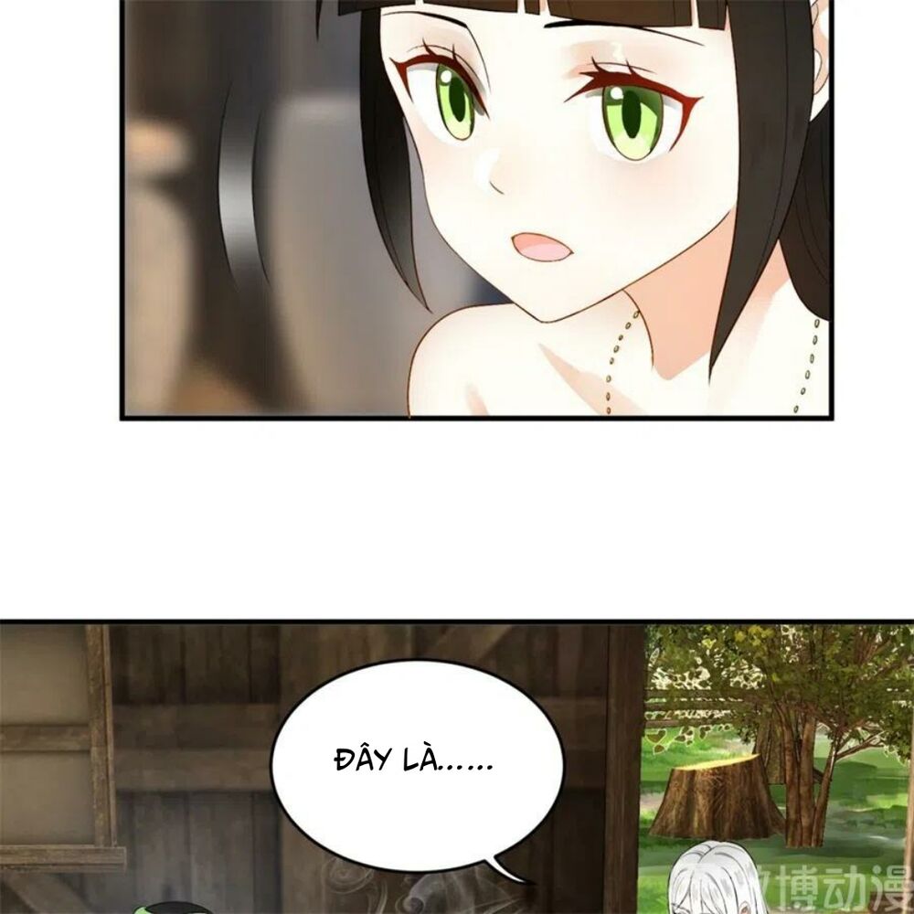 Ta Luyện Khí Ba Ngàn Năm Chapter 130 - 5