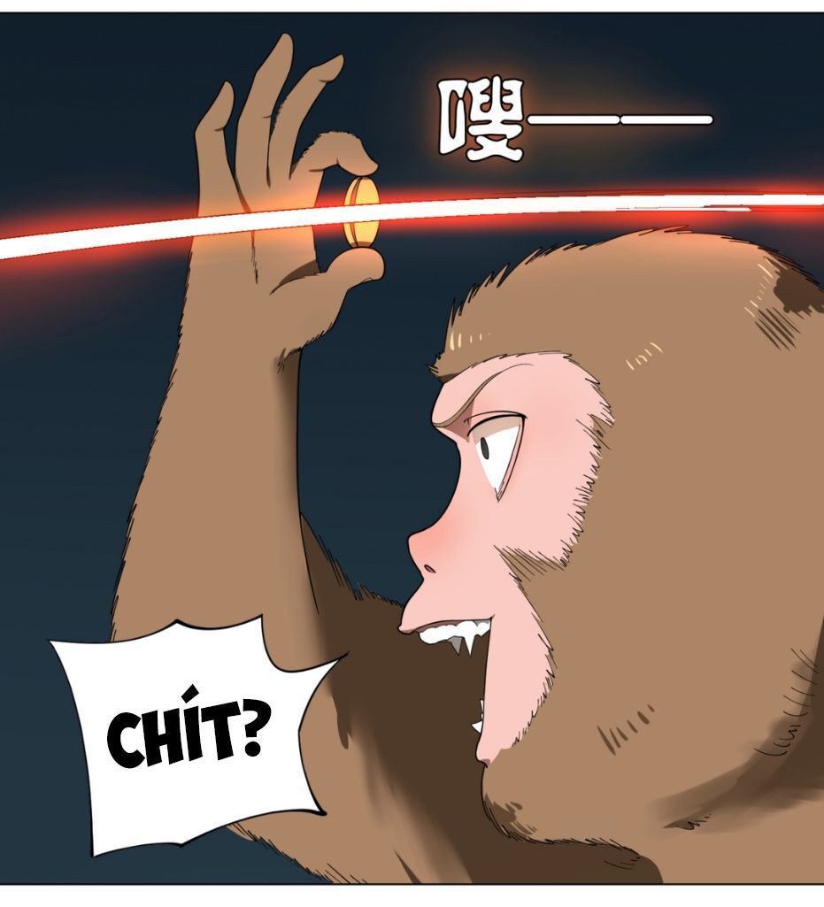 Ta Luyện Khí Ba Ngàn Năm Chapter 35 - 24