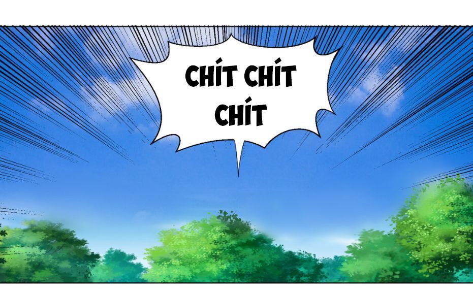 Ta Luyện Khí Ba Ngàn Năm Chapter 35 - 37