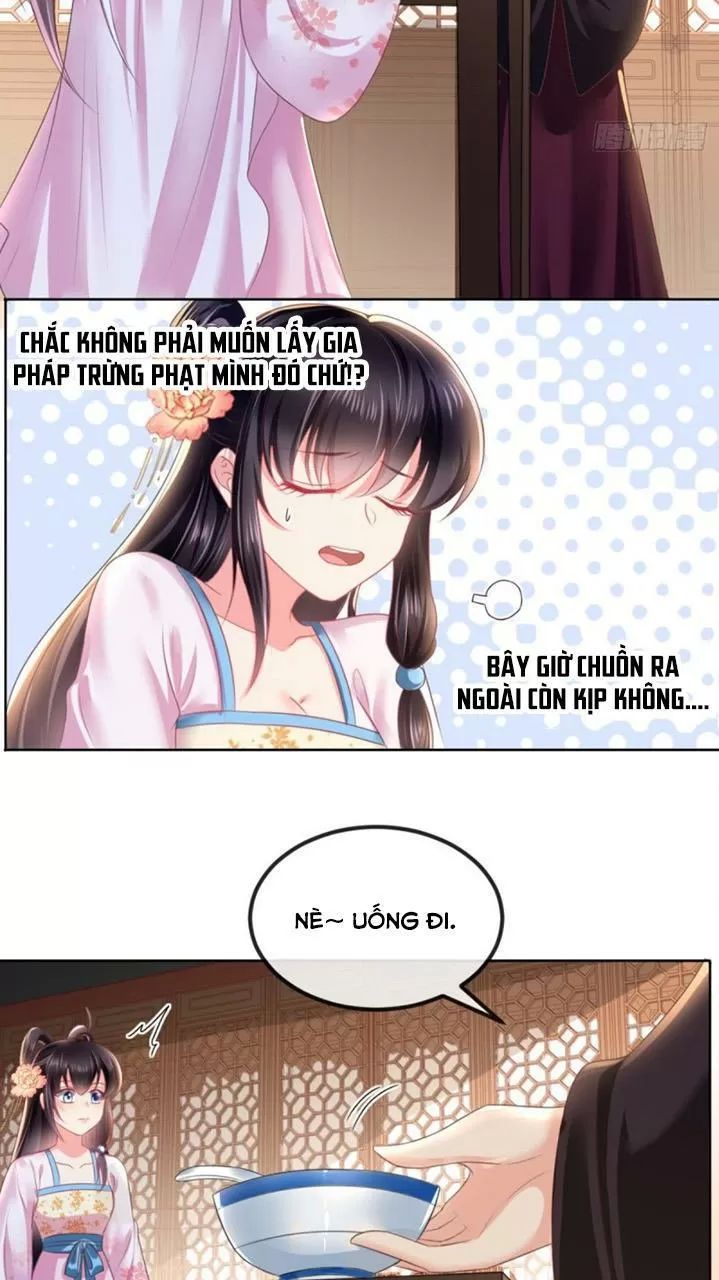 Độc Phi Ngu Ngốc Không Thể Chọc Chapter 123 - 7