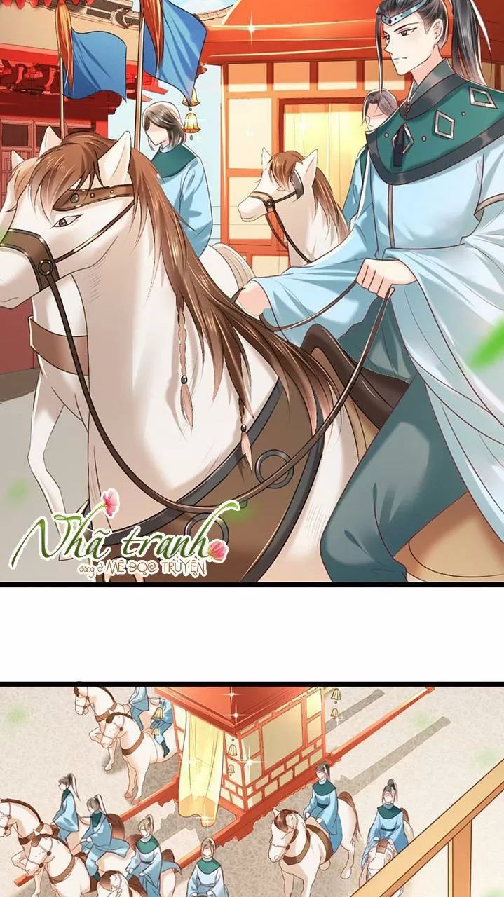 Độc Phi Ngu Ngốc Không Thể Chọc Chapter 124 - 11