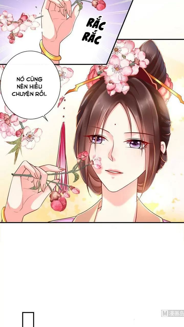 Độc Phi Ngu Ngốc Không Thể Chọc Chapter 133 - 7