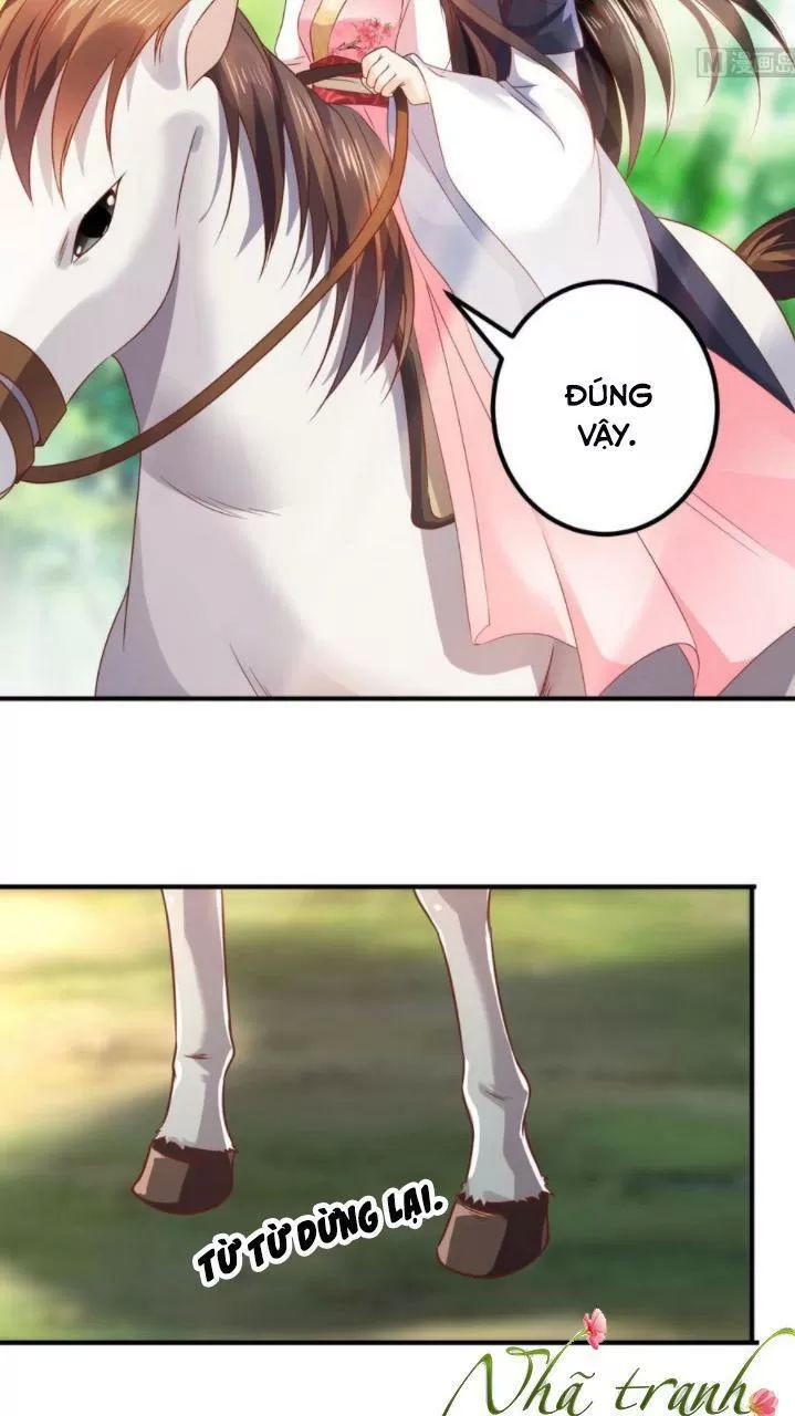 Độc Phi Ngu Ngốc Không Thể Chọc Chapter 136 - 14