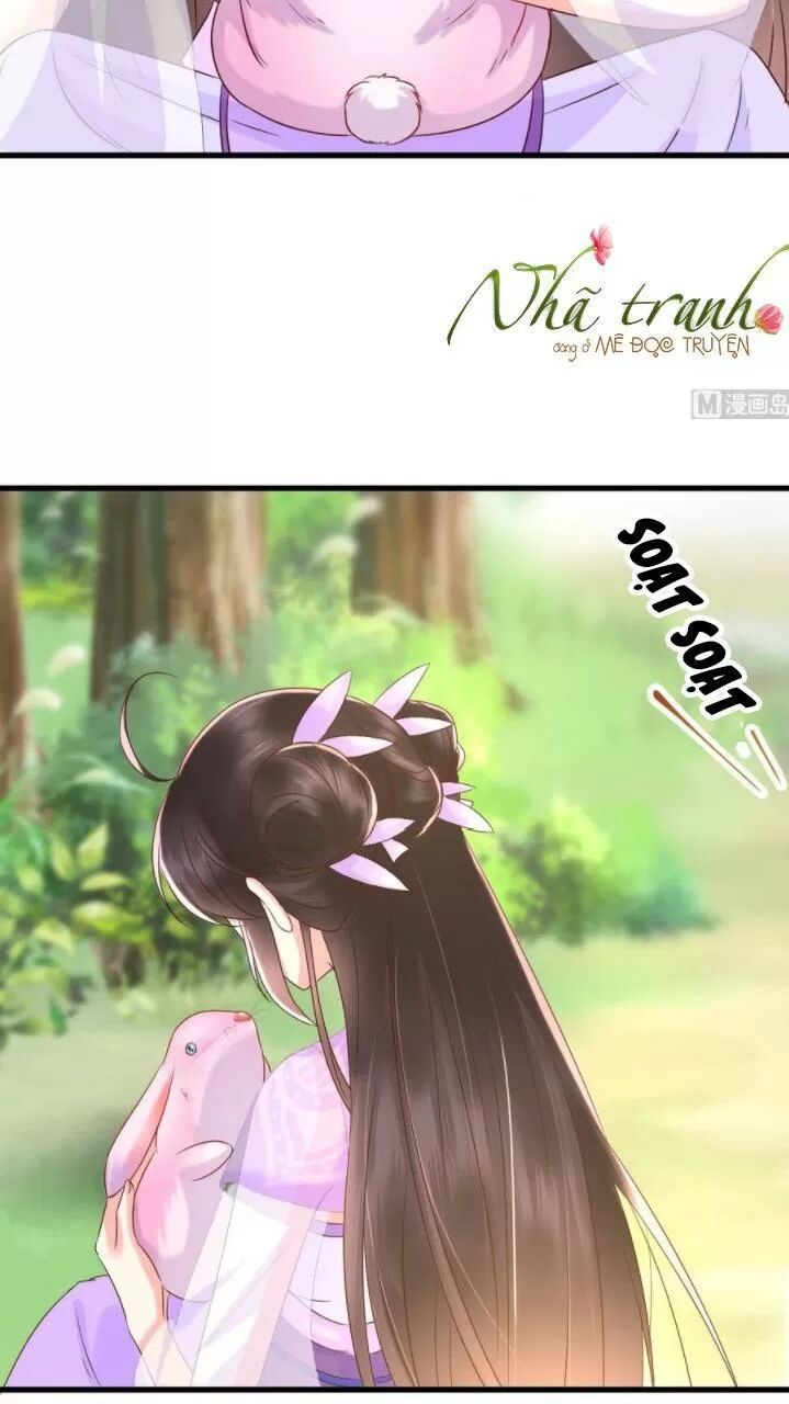 Độc Phi Ngu Ngốc Không Thể Chọc Chapter 139 - 17