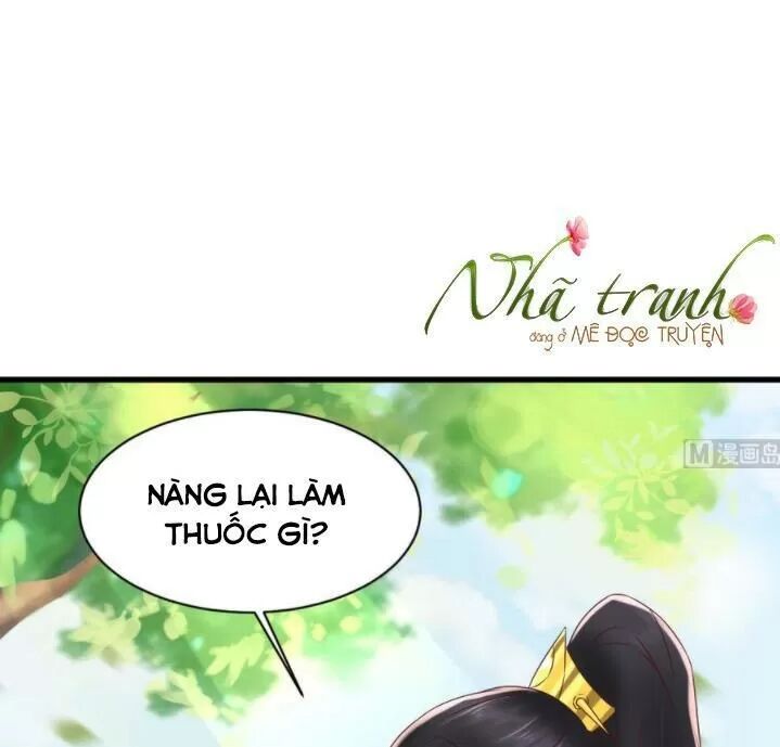 Độc Phi Ngu Ngốc Không Thể Chọc Chapter 139 - 22