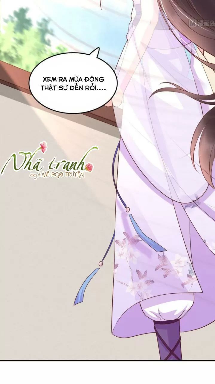 Độc Phi Ngu Ngốc Không Thể Chọc Chapter 142 - 13