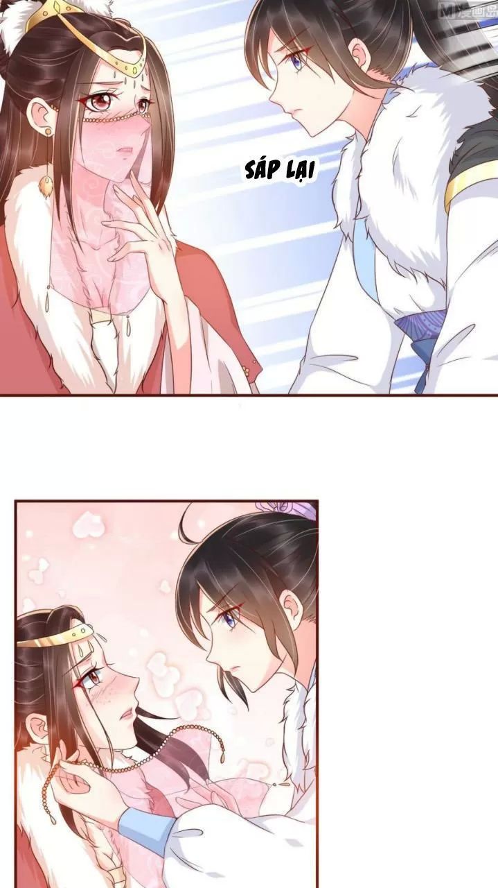 Độc Phi Ngu Ngốc Không Thể Chọc Chapter 144 - 8