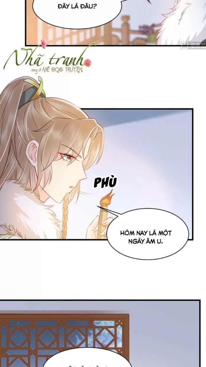 Độc Phi Ngu Ngốc Không Thể Chọc Chapter 145 - 11