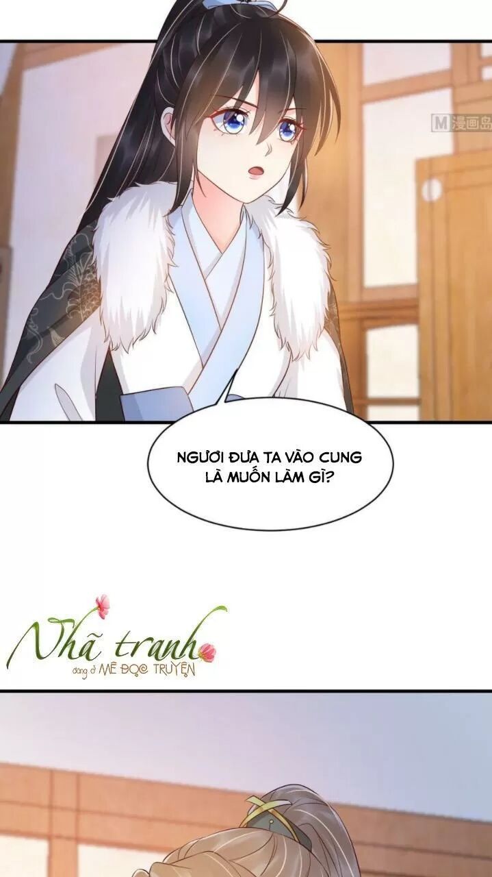 Độc Phi Ngu Ngốc Không Thể Chọc Chapter 145 - 13