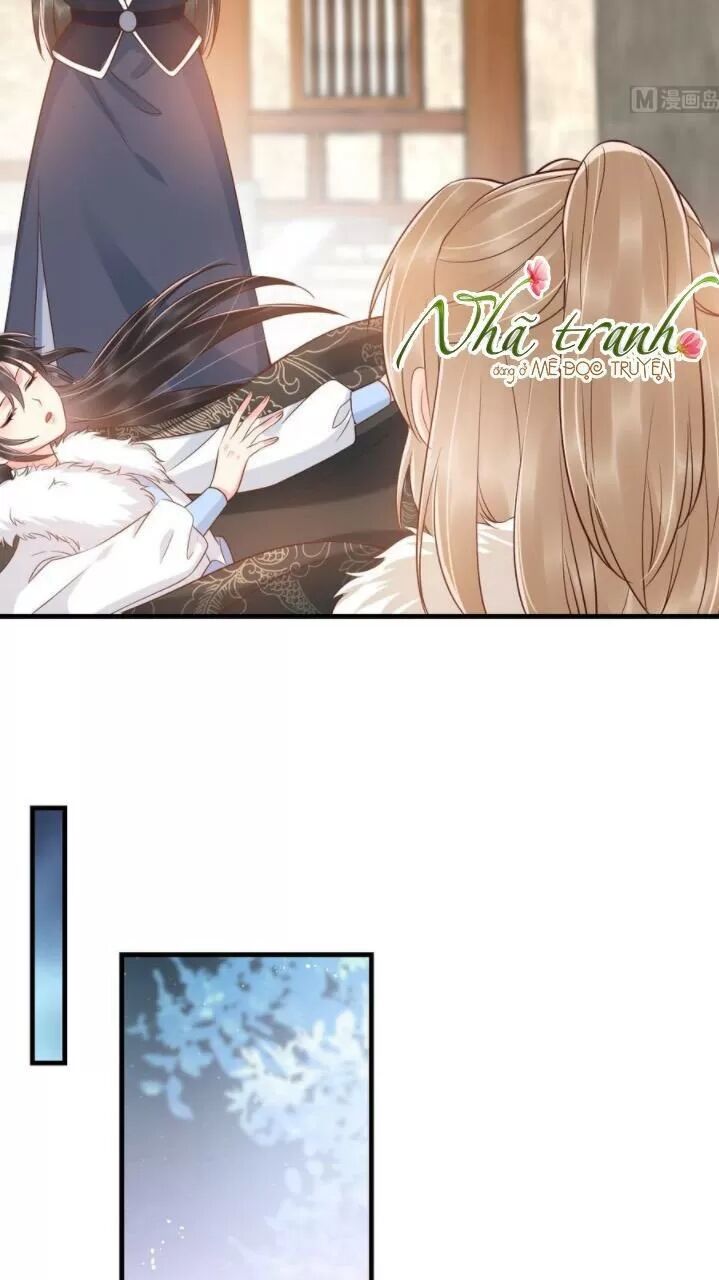 Độc Phi Ngu Ngốc Không Thể Chọc Chapter 145 - 5