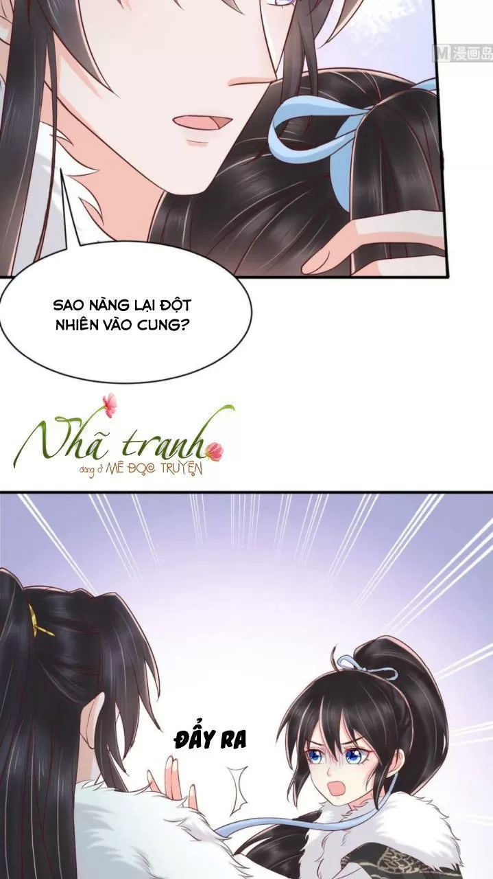 Độc Phi Ngu Ngốc Không Thể Chọc Chapter 146 - 13