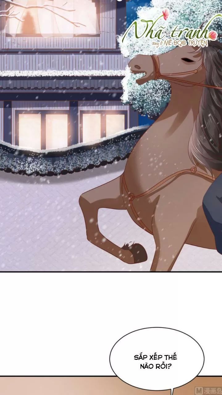 Độc Phi Ngu Ngốc Không Thể Chọc Chapter 146 - 3