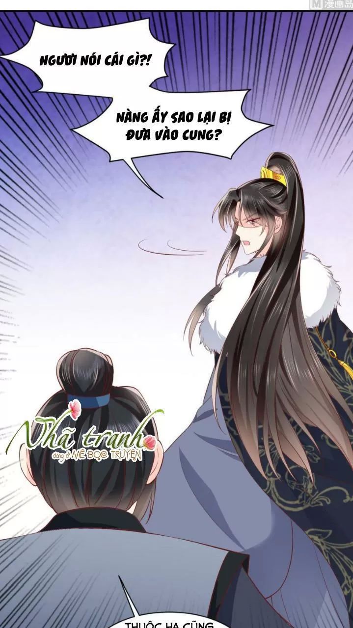 Độc Phi Ngu Ngốc Không Thể Chọc Chapter 146 - 6