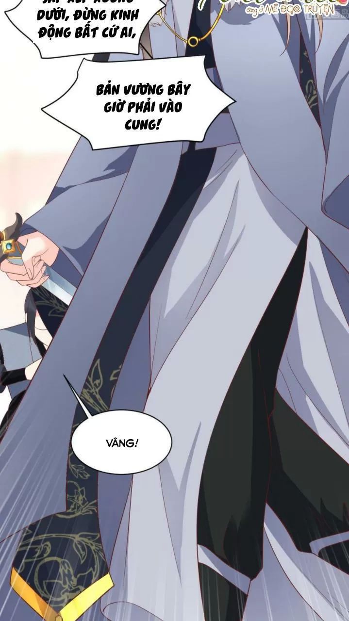 Độc Phi Ngu Ngốc Không Thể Chọc Chapter 146 - 8