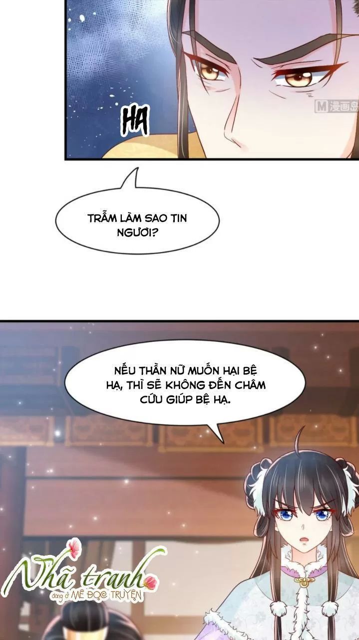 Độc Phi Ngu Ngốc Không Thể Chọc Chapter 148 - 17