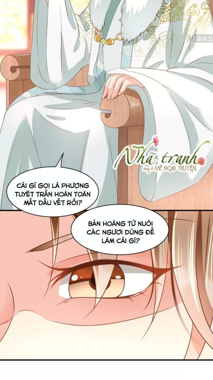 Độc Phi Ngu Ngốc Không Thể Chọc Chapter 149 - 2