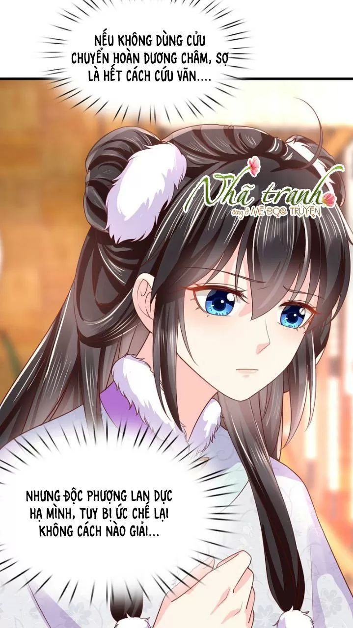 Độc Phi Ngu Ngốc Không Thể Chọc Chapter 153 - 19